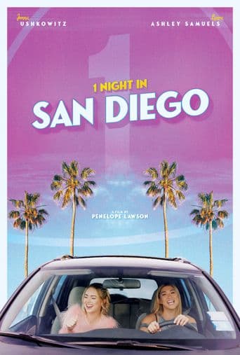 1 Night in San Diego poster art