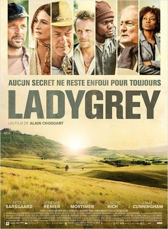 Ladygrey poster art