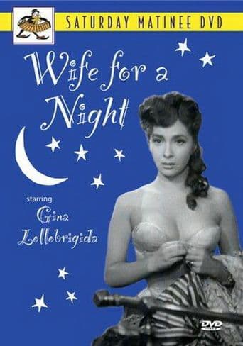 Wife for a Night poster art