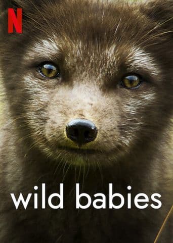 Wild Babies poster art