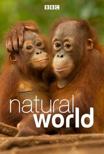 Natural World poster art