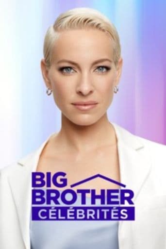 Big Brother Célébrités poster art