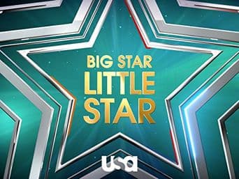 Big Star Little Star poster art