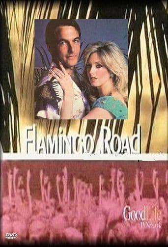 Flamingo Road poster art