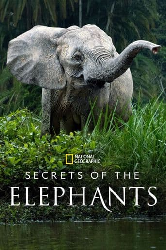 Secrets of the Elephants poster art