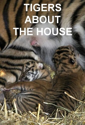 Tigers About the House poster art