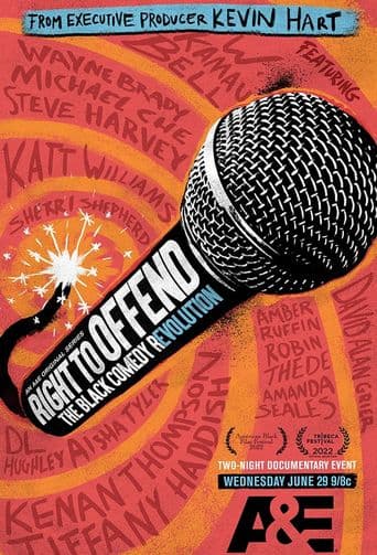 Right to Offend: The Black Comedy Revolution poster art