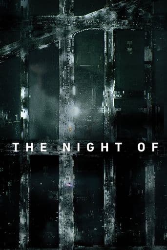 The Night Of poster art