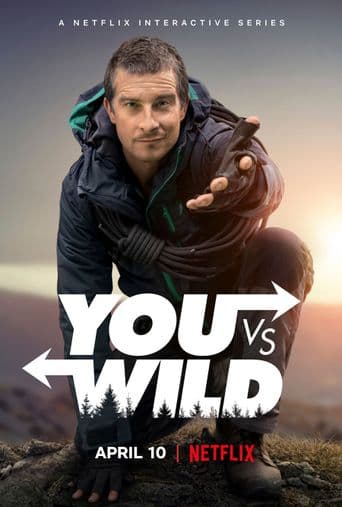 You vs. Wild poster art