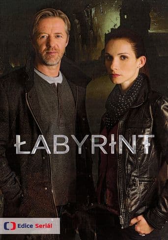 The Labyrinth poster art