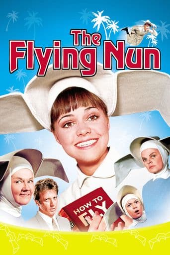 The Flying Nun poster art