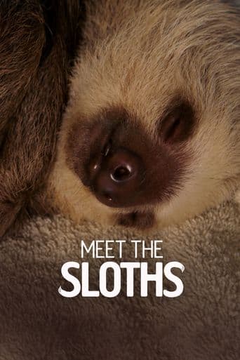 Meet the Sloths poster art