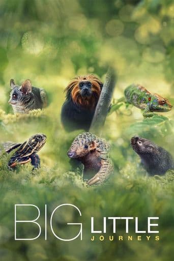 Big Little Journeys poster art