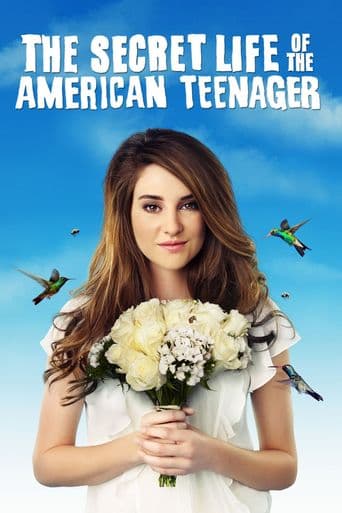 The Secret Life of the American Teenager poster art