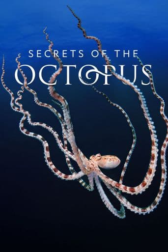 Secrets of the Octopus poster art