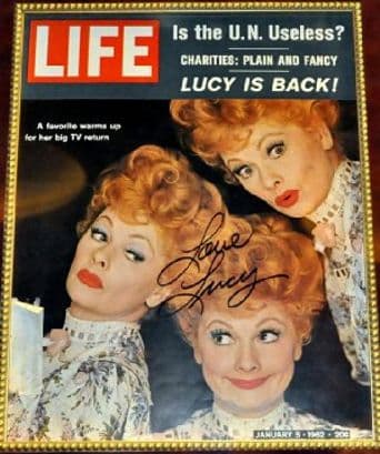 Life with Lucy poster art