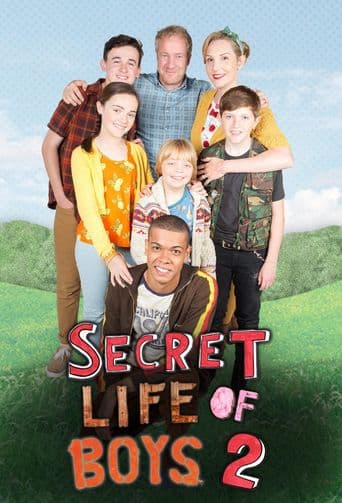 Secret Life Of Boys poster art