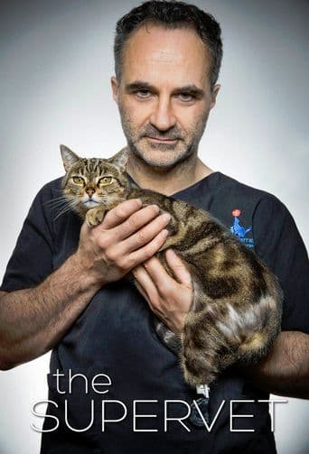 The Supervet poster art