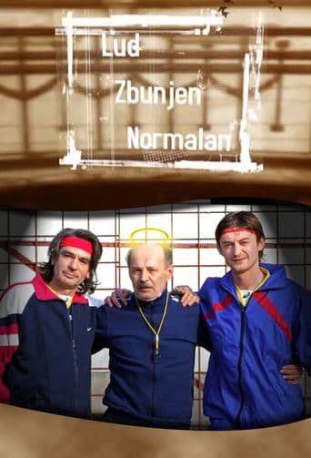 Lud, zbunjen, normalan poster art