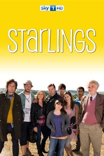Starlings poster art