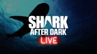 Shark After Dark poster art