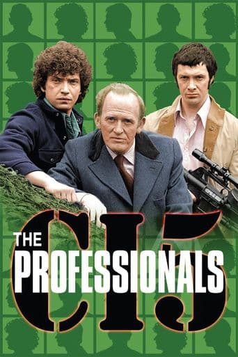 The Professionals poster art