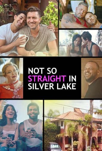 Not So Straight in Silver Lake poster art