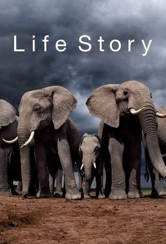 Life Story poster art