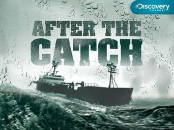 After the Catch poster art