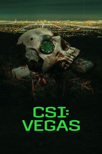 CSI: Vegas poster art