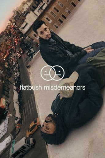 Flatbush Misdemeanors poster art