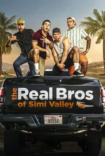 The Real Bros of Simi Valley poster art