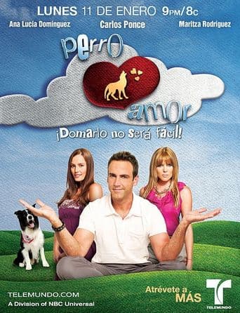 Perro Amor poster art