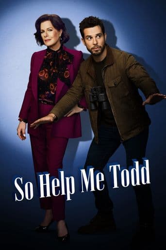 So Help Me Todd poster art