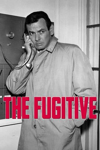 The Fugitive poster art