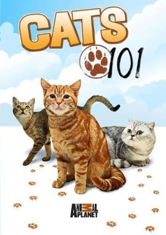 Cats 101 poster art