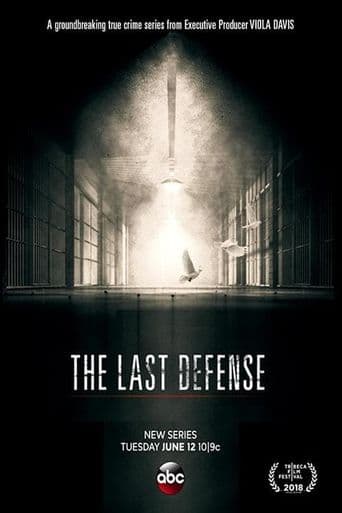 The Last Defense poster art