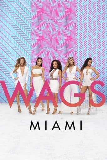 WAGS Miami poster art