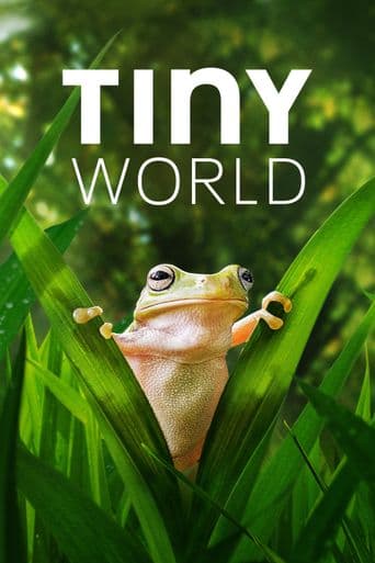 Tiny World poster art