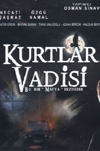 Kurtlar Vadisi poster art