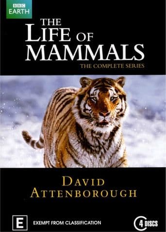 The Life of Mammals poster art