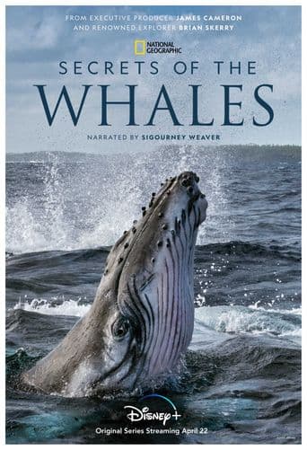 Secrets of the Whales poster art