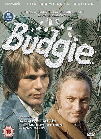 Budgie poster art