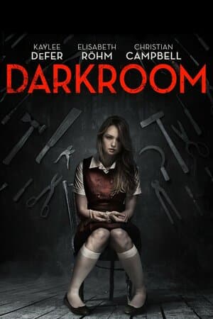 Darkroom poster art