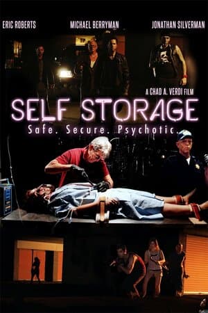 Self Storage poster art