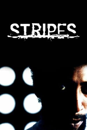 Stripes poster art