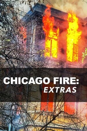 Chicago Fire: Extras poster art