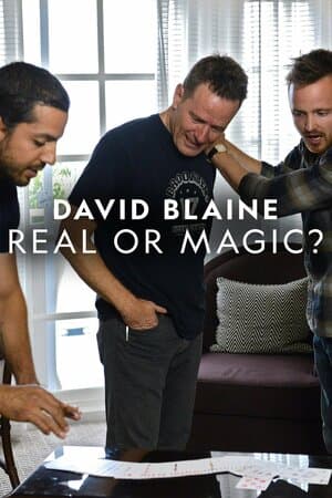 David Blaine: Real or Magic poster art