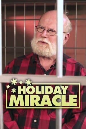 Holiday Miracle poster art