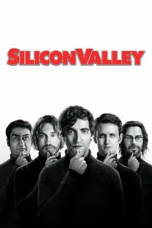 Silicon Valley poster art